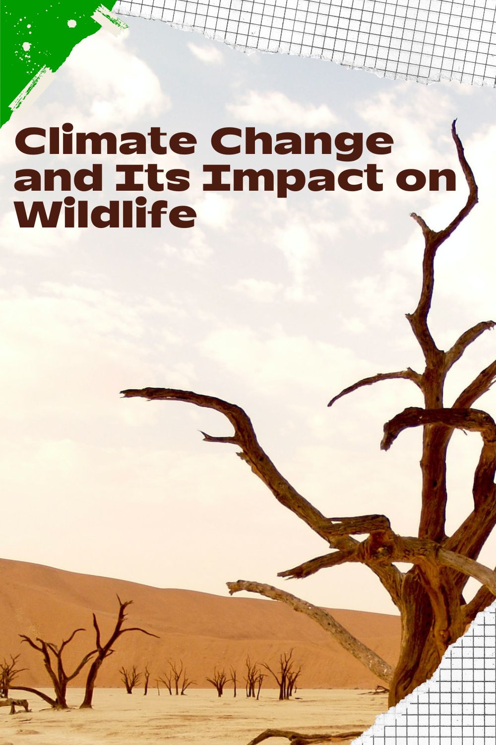 Climate Change and Its Impact on Wildlife Ichaku [Perfect Gifts Selection]