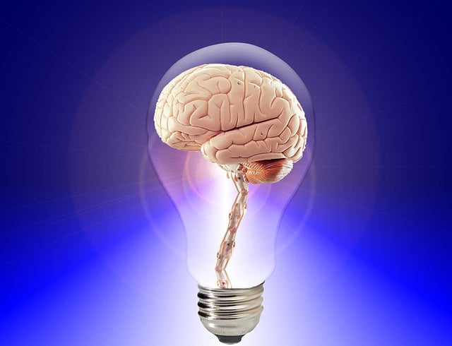 Neurofitness [9 ways to keep your brain fit] Ichaku [Perfect Gifts Selection]