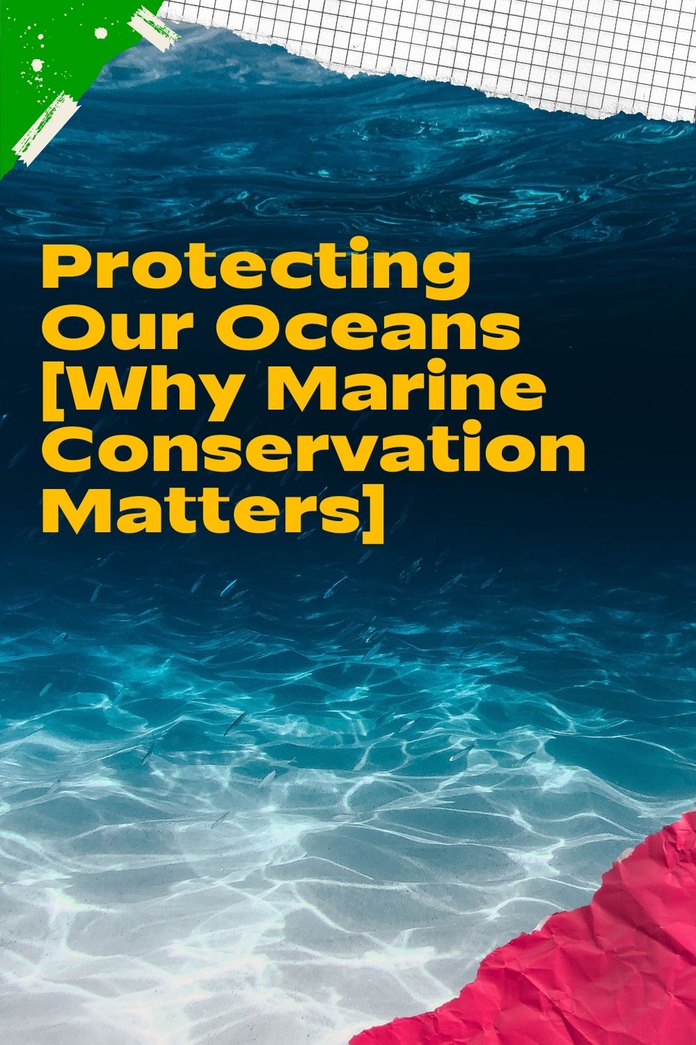 Protecting Our Oceans [Why Marine Conservation Matters] Ichaku [Perfect Gifts Selection]