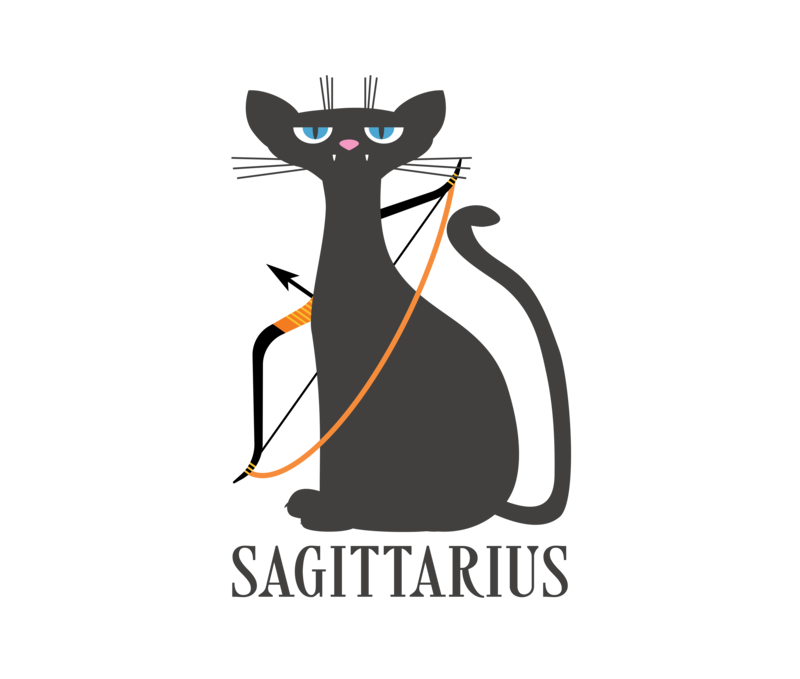 Sagittarius Horoscope for the year [2023] [Dates, Horoscope, Personality, Compability] Ichaku [Perfect Gifts Selection]