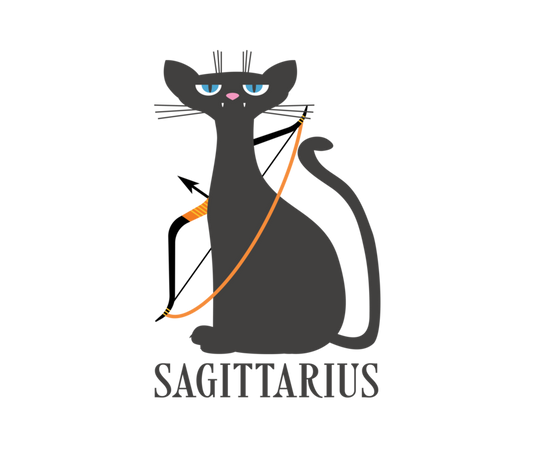 Sagittarius Horoscope for the year [2023] [Dates, Horoscope, Personality, Compability] Ichaku [Perfect Gifts Selection]