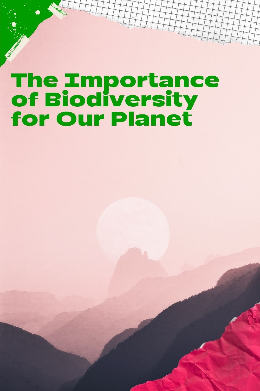 The Importance of Biodiversity for Our Planet Ichaku [Perfect Gifts Selection]