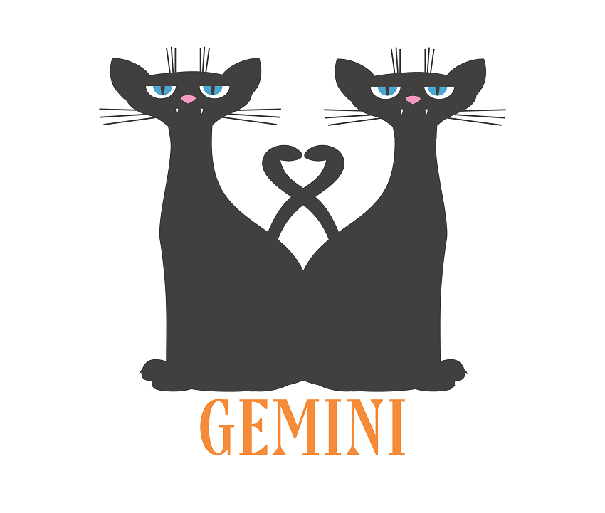 Zodiac Sign Characteristics for Gemini [Dates, Horoscope, Personality, Compability] Ichaku [Perfect Gifts Selection]