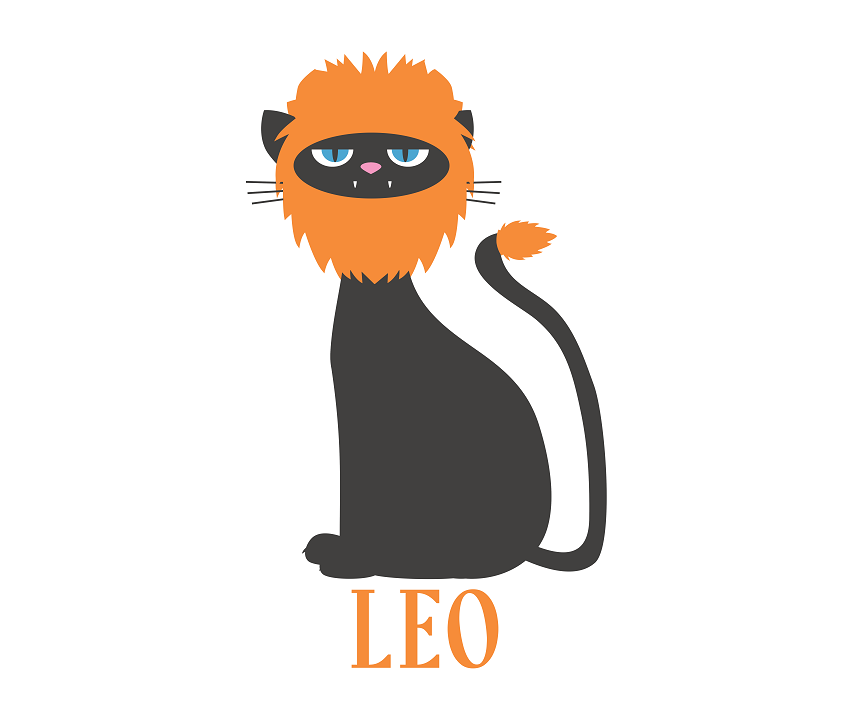 Zodiac Sign Characteristics for Leo [Dates, Horoscope, Personality, Compability] Ichaku [Perfect Gifts Selection]