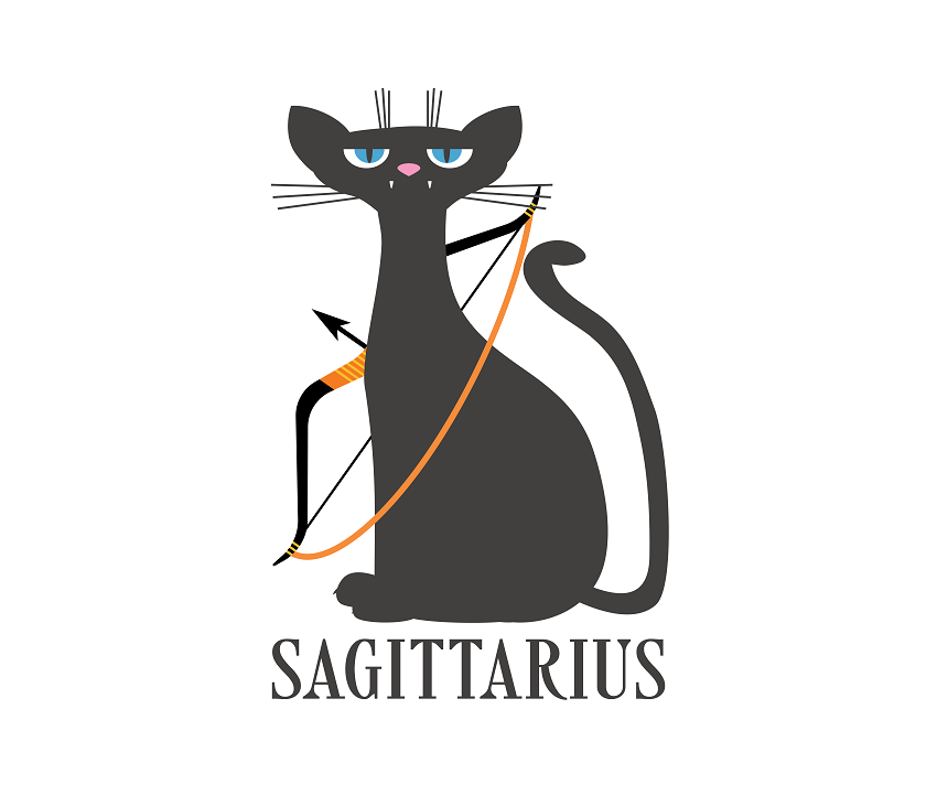 Zodiac Sign Characteristics for Sagittarius [Dates, Horoscope, Personality, Compability] Ichaku [Perfect Gifts Selection]