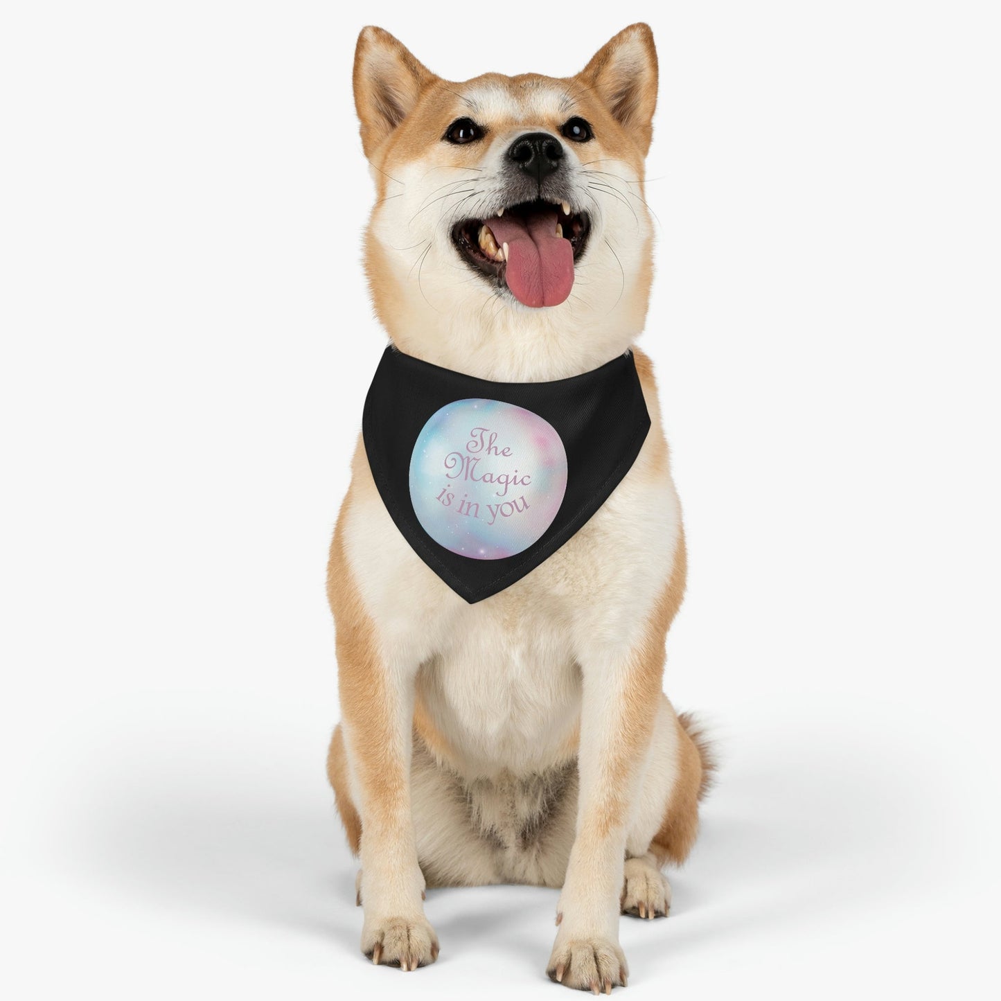 The Magic Is In You Motivation Quotes Pet Bandana Collar Ichaku [Perfect Gifts Selection]