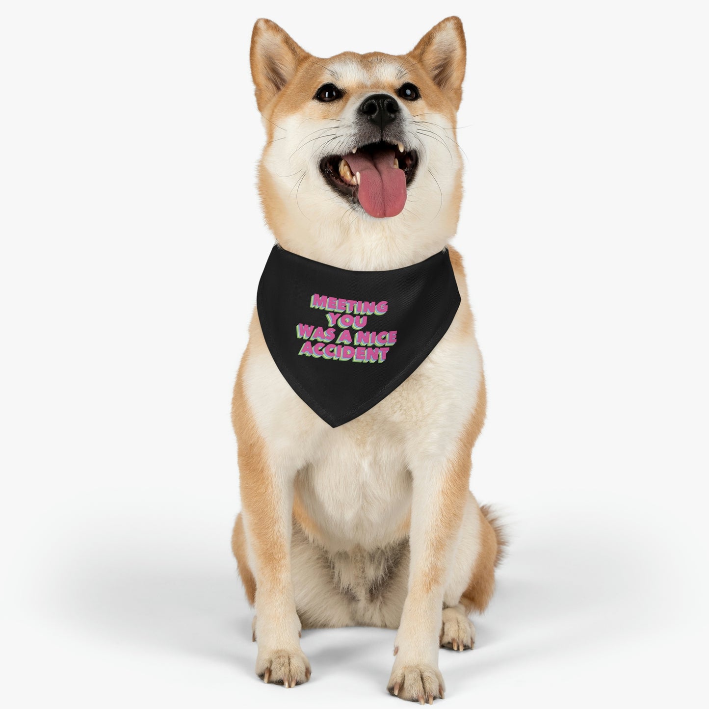 Meeting You Was A Nice Accident Humor Quotes Retro Text Pet Bandana Collar