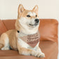 Chocolate Doesn’t Ask Questions Indulge in the Sweetness Pet Bandana Collar