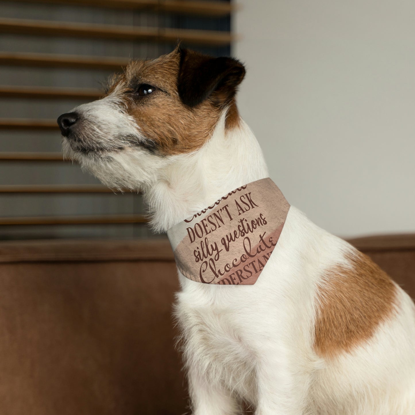 Chocolate Doesn’t Ask Questions Indulge in the Sweetness Pet Bandana Collar