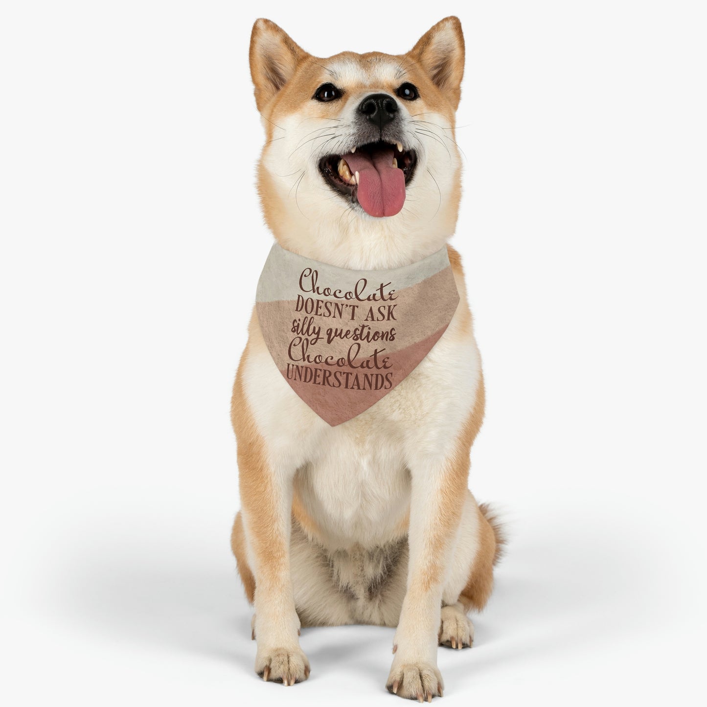 Chocolate Doesn’t Ask Questions Indulge in the Sweetness Pet Bandana Collar