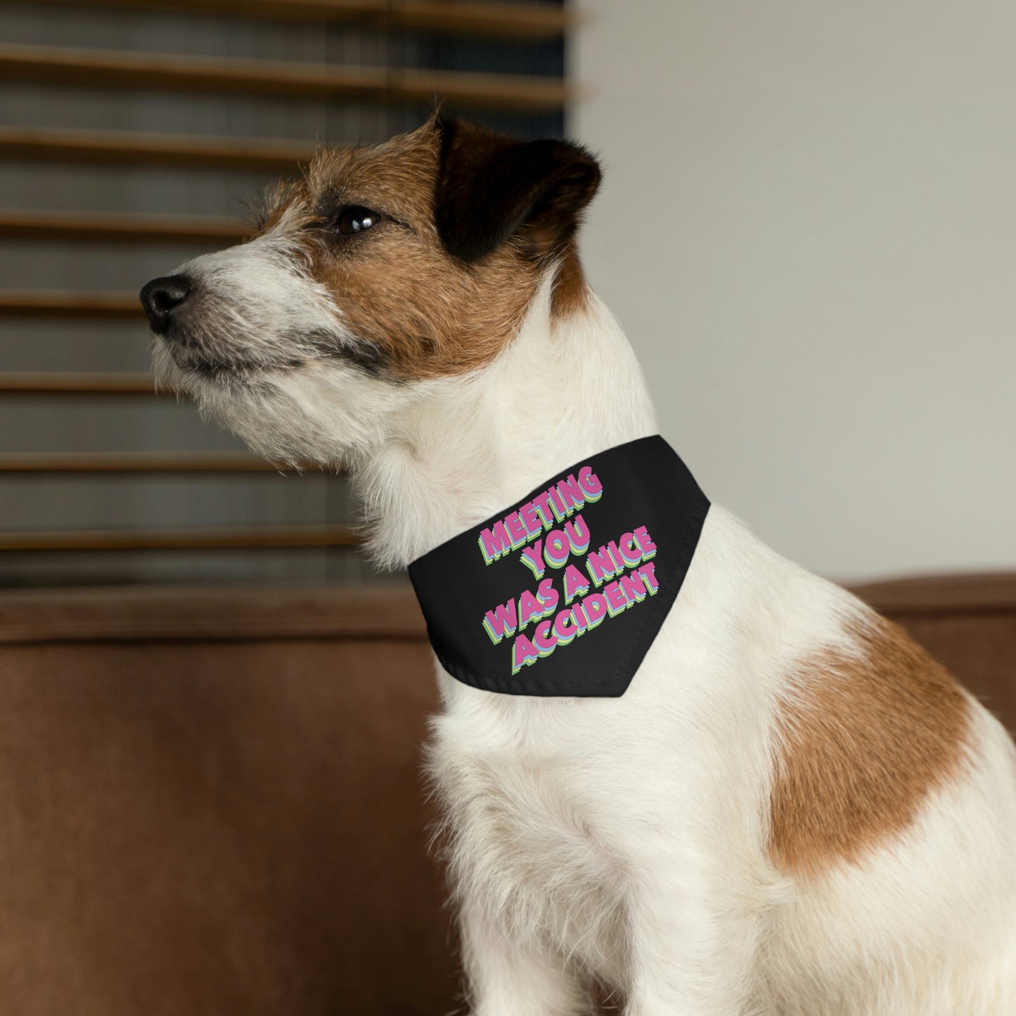 Meeting You Was A Nice Accident Humor Quotes Retro Text Pet Bandana Collar