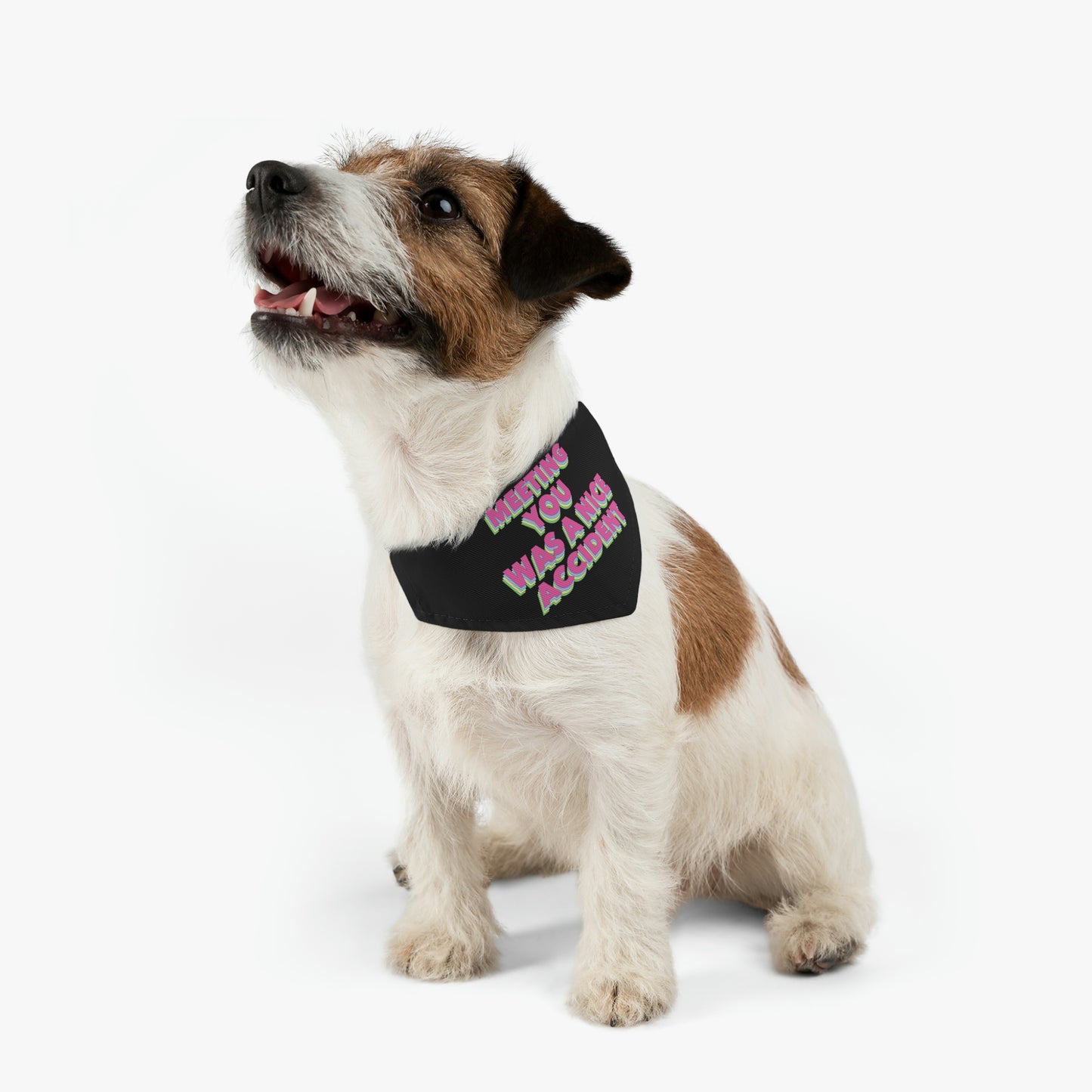 Meeting You Was A Nice Accident Humor Quotes Retro Text Pet Bandana Collar