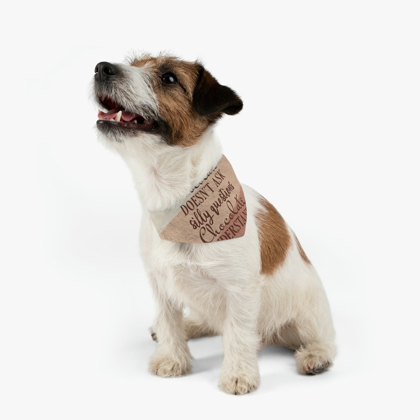 Chocolate Doesn’t Ask Questions Indulge in the Sweetness Pet Bandana Collar
