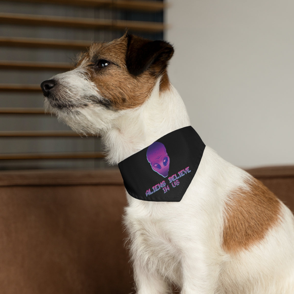 Aliens Believe In Us UFO TV Series Bowl Pet Bandana Collar Ichaku [Perfect Gifts Selection]