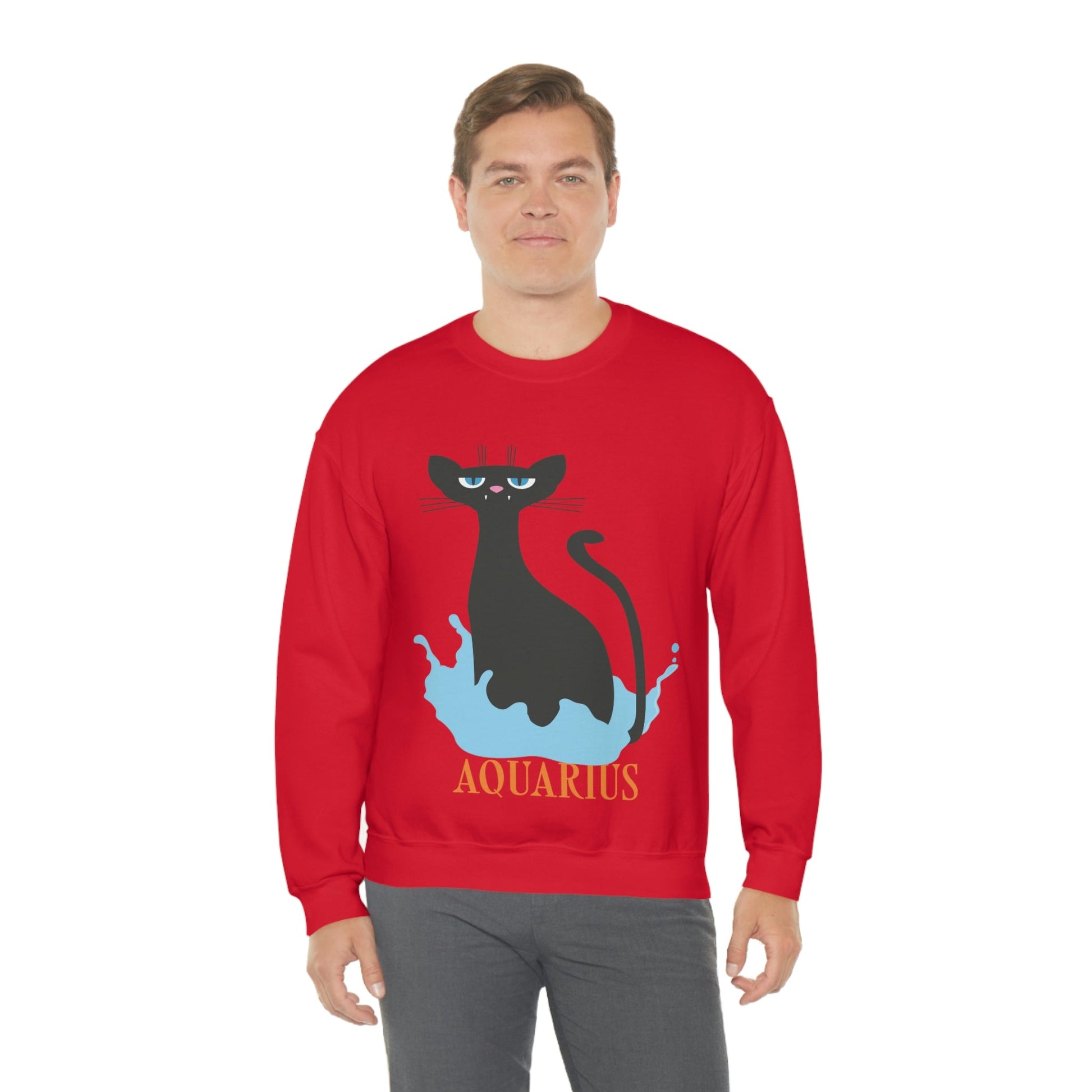 Aquarius Cat Zodiac Unisex Heavy Blend™ Crewneck Sweatshirt Ichaku [Perfect Gifts Selection]