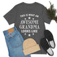 Awesome Grandmother Funny Slogan Sarcastic Quotes Unisex Jersey Short Sleeve T-Shirt Ichaku [Perfect Gifts Selection]