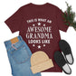 Awesome Grandmother Funny Slogan Sarcastic Quotes Unisex Jersey Short Sleeve T-Shirt Ichaku [Perfect Gifts Selection]