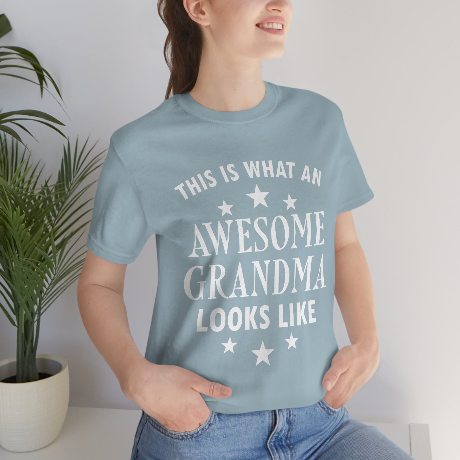 Awesome Grandmother Funny Slogan Sarcastic Quotes Unisex Jersey Short Sleeve T-Shirt Ichaku [Perfect Gifts Selection]