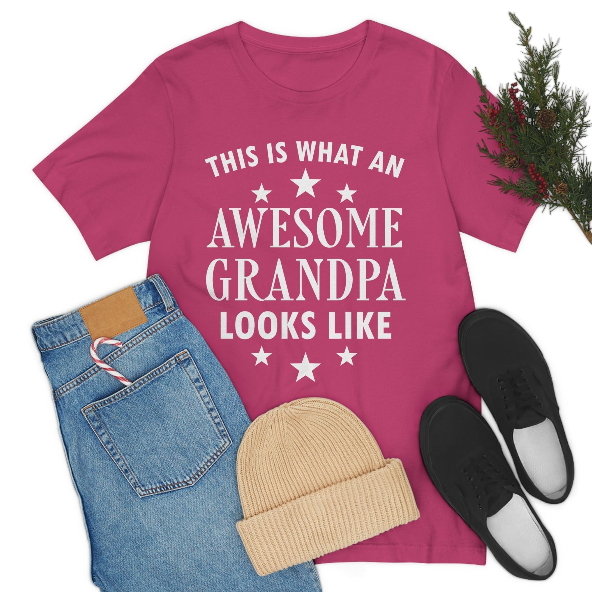 Awesome Grandpa Funny Slogan Sarcastic Quotes Unisex Jersey Short Sleeve T-Shirt Ichaku [Perfect Gifts Selection]