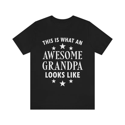 Awesome Grandpa Funny Slogan Sarcastic Quotes Unisex Jersey Short Sleeve T-Shirt Ichaku [Perfect Gifts Selection]