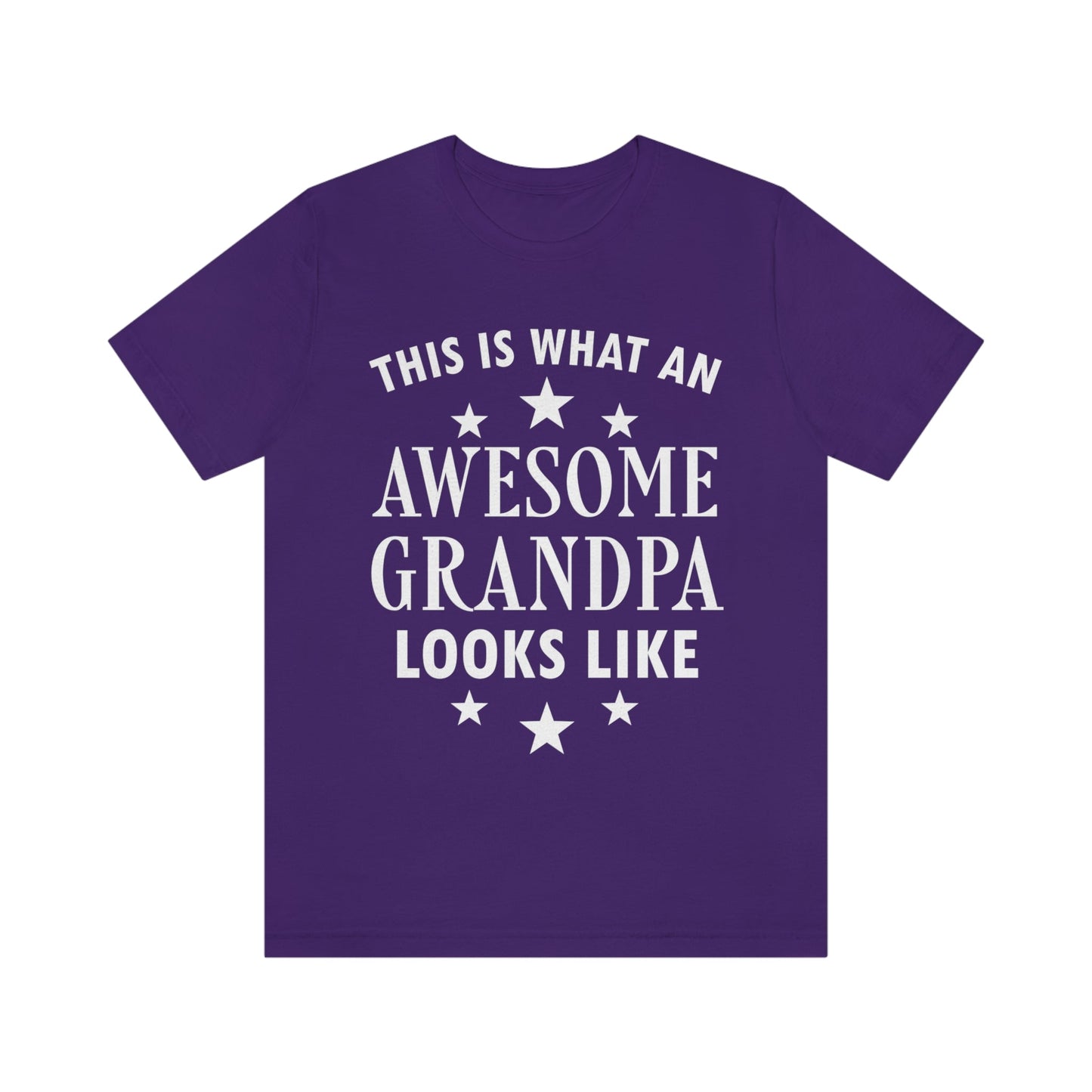 Awesome Grandpa Funny Slogan Sarcastic Quotes Unisex Jersey Short Sleeve T-Shirt Ichaku [Perfect Gifts Selection]