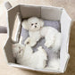 Removable Roof Plush Pet House Ichaku [Perfect Gifts Selection]