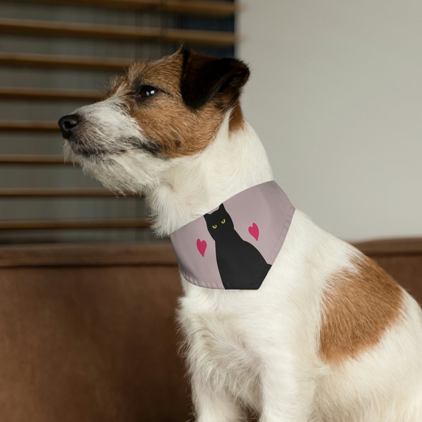 Black Cat with Heart Love Pet Bandana Collar