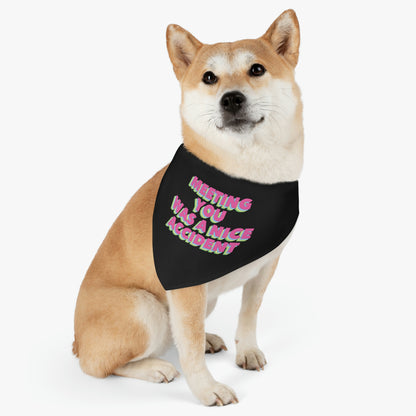 Meeting You Was A Nice Accident Humor Quotes Retro Text Pet Bandana Collar